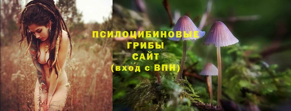 а пвп мука Ладушкин