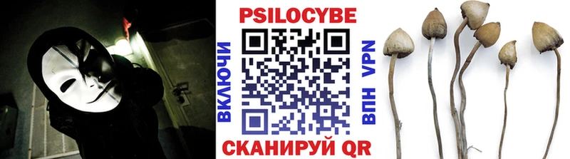 Купить  Отрадный  Псилоцибиновые грибы Cubensis 